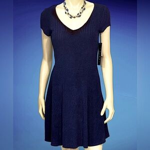 Trixy Navy Blue V-Neck Fit and Flare Mini Dress